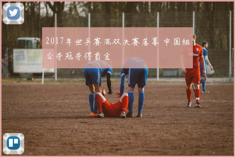 2017年世乒赛混双决赛落幕 中国组合夺冠夺得首金