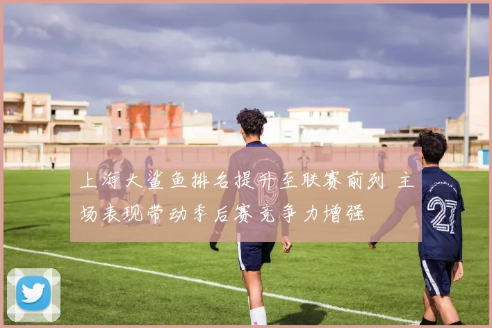 上海大鲨鱼排名提升至联赛前列 主场表现带动季后赛竞争力增强