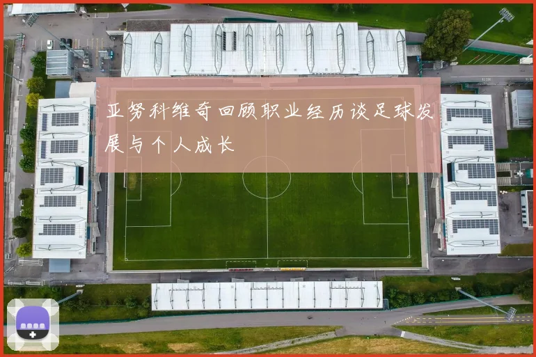 亚努科维奇回顾职业经历谈足球发展与个人成长
