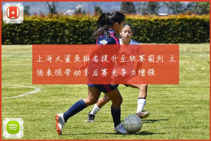 上海大鲨鱼排名提升至联赛前列 主场表现带动季后赛竞争力增强